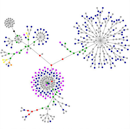 9c85fa17 8a50 4452 bf8f 101fa55b6c89 e1746426289999 - Sarvarth